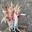 Busto con flor preservada - Imagen 1