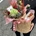 Cesta con ramo de flores, cava, velas y fresas - Imagen 1