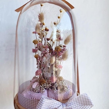 CÚPULA PATUCOS X2 - Imagen 1