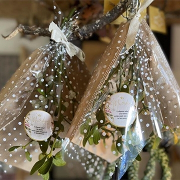 MUÉRDAGO - Imagen 1