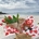 Picnic del AMOR - Imagen 2