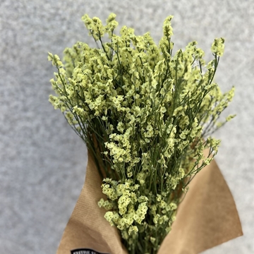 RAMITO LIMONIUM - Imagen 2