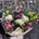 Ramo de flores Dulzura desde: - Imagen 2