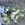 Ramo de flores Pureza desde: - Imagen 2