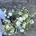 Ramo de flores Pureza desde: - Imagen 2