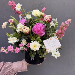 SOMBRERERA - Imagen 1