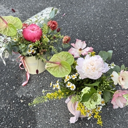 SOMBRERERA - Imagen 2